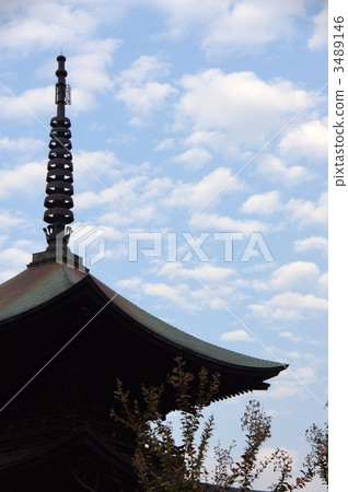 信濃國分寺 信濃國分寺 3489146