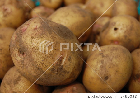 Northern Lighting Northern Lighting 3490038