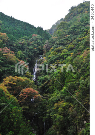shikoku, tokushima, 3 layered 3491440