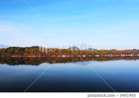 Autumn leaves on the banks of the Gosho lake 3491493