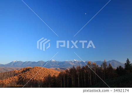 Yellow leaves of Moon and Moon and Tokachidake Families 3492174