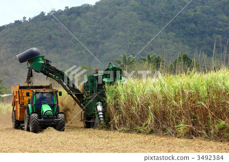 甘蔗收割機 3492384