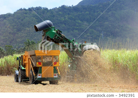 甘蔗收割機 3492391