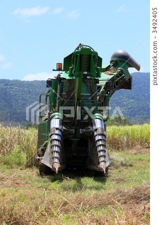 Sugarcane harvester 3492405
