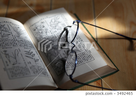Reading 3492465