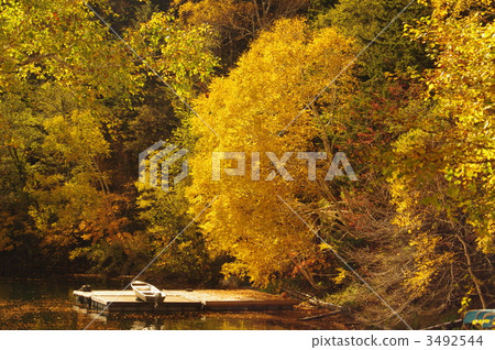 然別湖 湖泊 湖 3492544