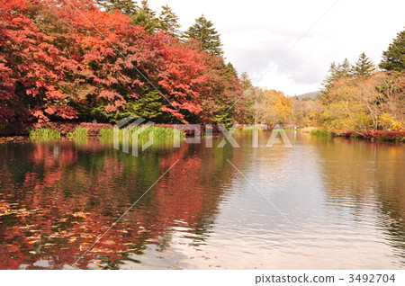kumo-jo pond of nishikiaki, kumo-jo pond of autumn leaves, reflected glare 3492704
