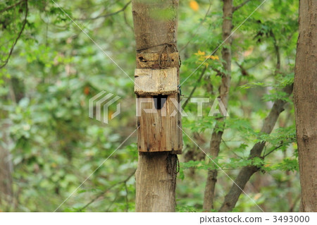 Bird's nesting box 3493000