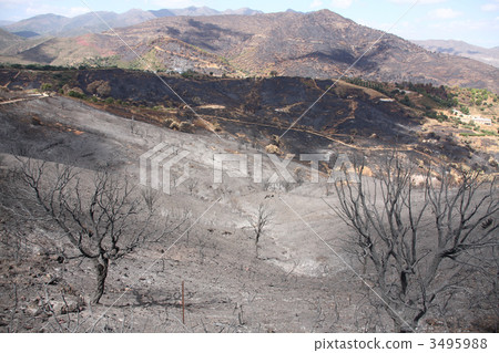 Burned land Burned land 3495988