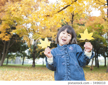 秋葉和女孩 3496010