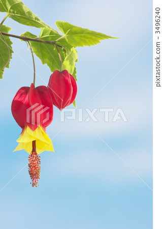 Tyrolean lamp Tyrolean lamp 3496240