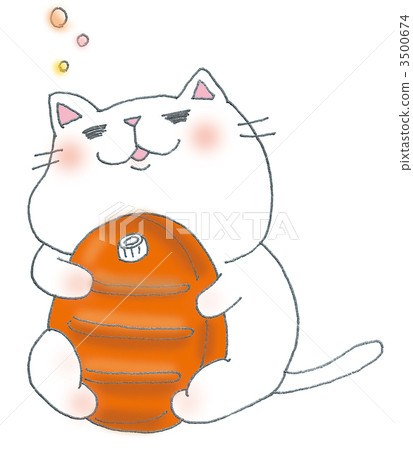 White cat holding a hottie 3500674