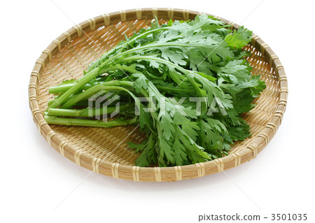 食用菊花 3501035