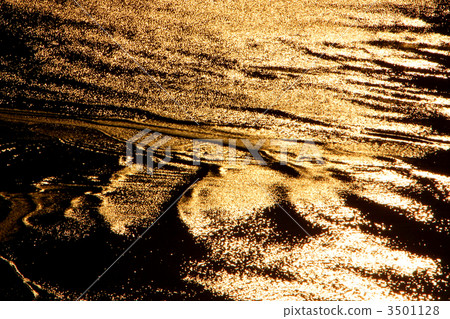 Shinkai child gold wave 1 Shinkai child gold wave 1 3501128