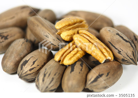 Fresh peacons 3505135