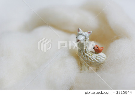 Alpaca and birds 3515944