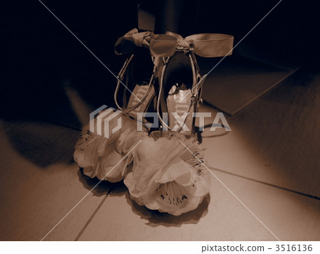 high heel, high-heel, high-heeled shoe 3516136