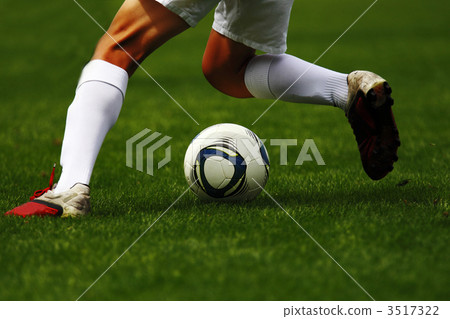 ball, balls, paw 3517322