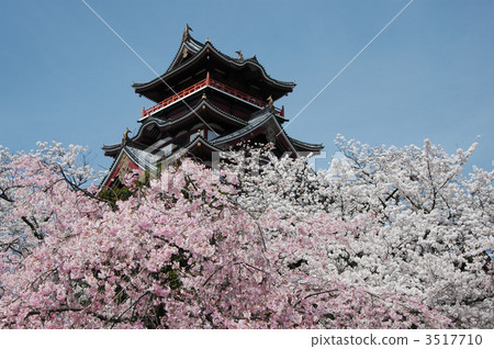 Fushimiyama城堡在春天 3517710