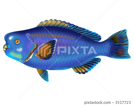 Aobudai Aobudai 3517723