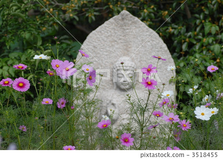 與Jizo的宇宙 3518455