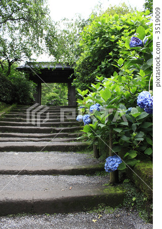 明月院 神社和廟宇 寺 3519009