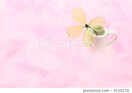 Feather and four-leaf clover Feather and four-leaf clover 3520278