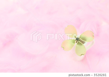 Feather and four-leaf clover 3520281
