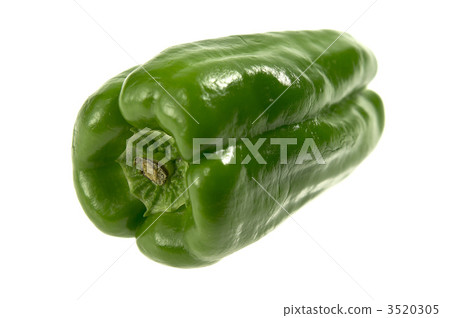 green pepper  3520305