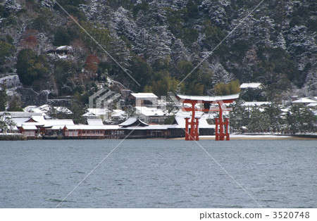 嚴島神社的雪 3520748