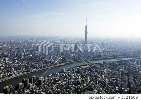 晴空塔 城市景觀 塔 3521609