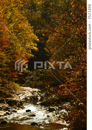 山間溪流的秋天 山間溪流的秋天 3521898
