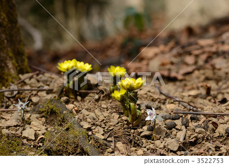 Fukushima Sebunseu Fukushima Sebunseu 3522753
