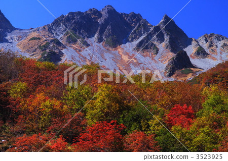 Dusk of autumn leaves 3523925