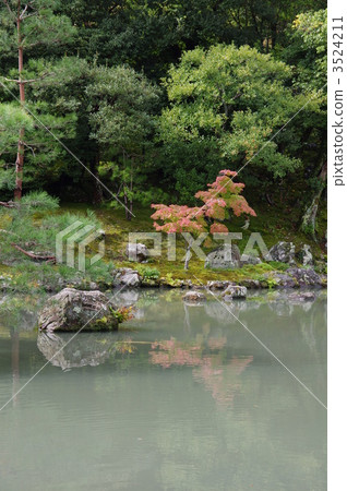 Tenryuji的森根池塘 3524211