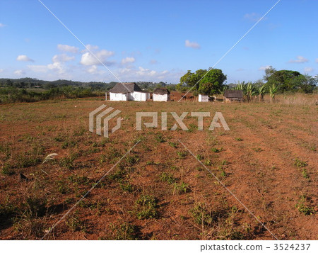 古巴 拉丁美洲 海外 3524237