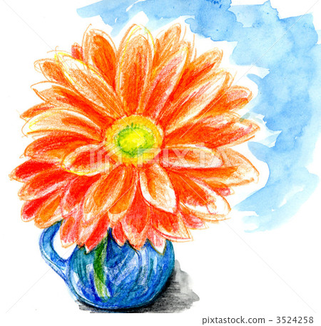 非洲菊 彩色鉛筆 花道 3524258