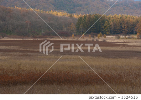 autumn-colored grass, odashirogahara, oku-nikko 3524516