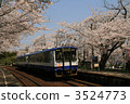  Cherry blossoms and train 3524773