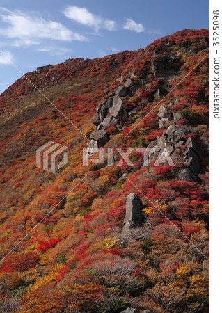 Autumn leaves of Kujyu Mitamuteyama 3525098