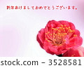 Plum (pictures) 3528581