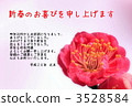 Plum (photo) with fixed form 3528584