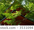 red leafe, ushitakiyama, osaka 3531094