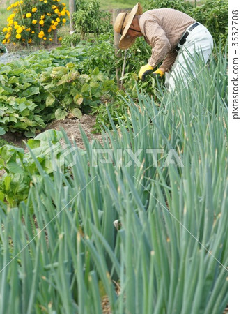 Men working in fields 3532708