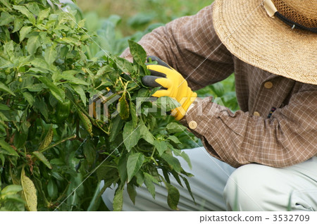 在田野工作的人 3532709