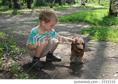 boy with badgerdog 2 3533119