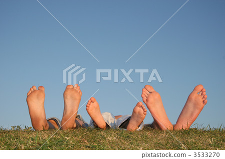 family legs on grass 3533270