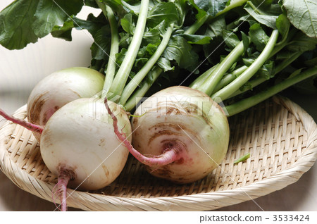 Red Core Daikon 3533424