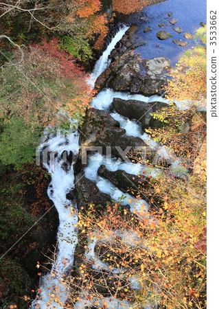 Autumnal leaves garland water intake Autumnal leaves garland water intake 3533662