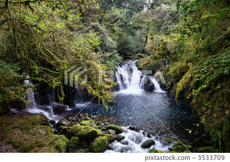 Kikuchi Waters Fall Scenic view 3533709